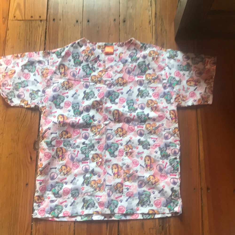 Character scrub top